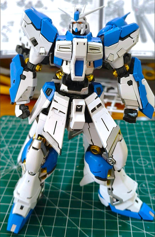 RG HI-NU