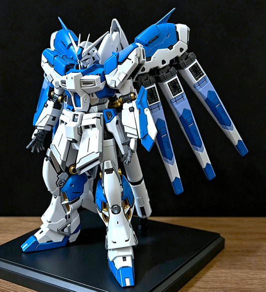 RG HI-NU